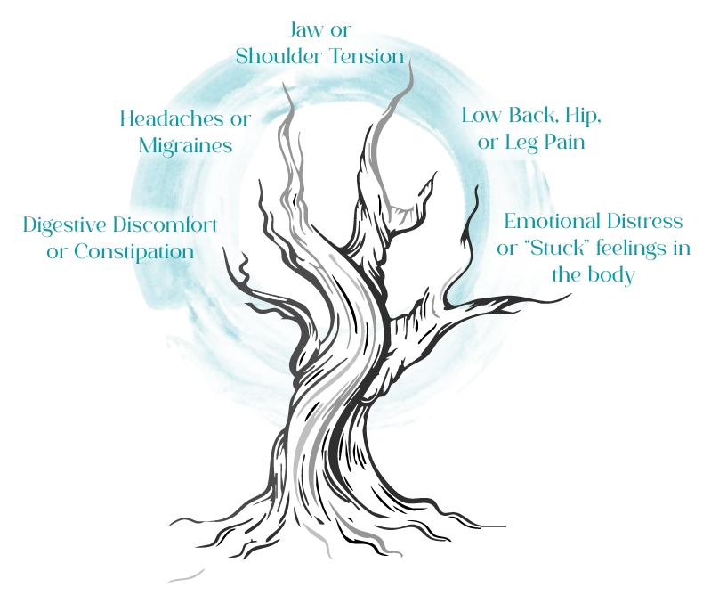 a tree showing different symptoms that occur with scars: digestive discomfort or constipation, headaches or migraines, jaw or shoulder tension, low back, hip, or leg pain, and emotional distress or "stuck" feelings in the body